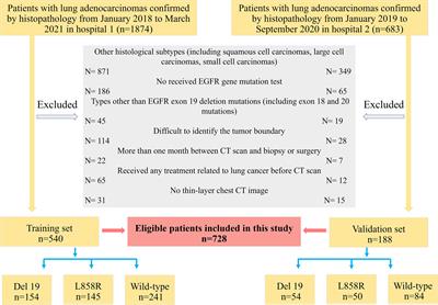 Development of a Nomogram Based on 3D CT Radiomics Signature to Predict the Mutation Status of EGFR Molecular Subtypes in Lung Adenocarcinoma: A Multicenter Study